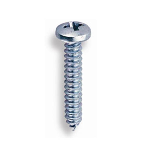 Tornillo chapa DIN 7981.